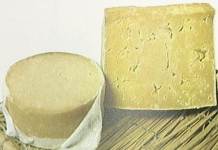 picture of double gloucester cheese, it's kind of icky-looking