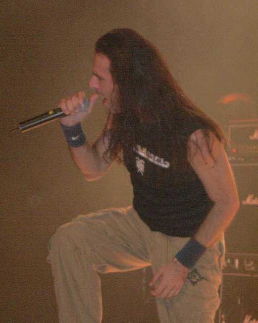 Image: 060930--bloodstock/web/brainstorm01.jpg