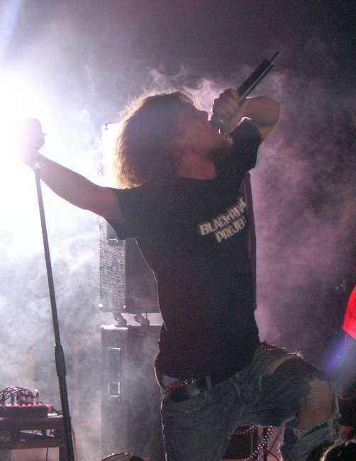 Image: 060930--bloodstock/web/omnium_gatherum05.jpg