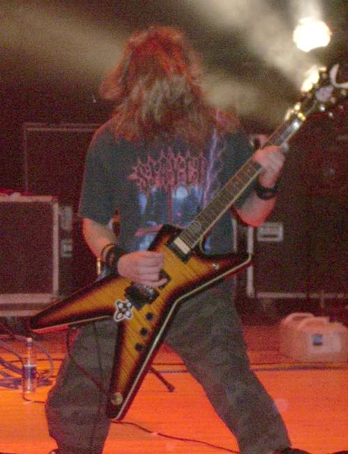 Image: 060930--bloodstock/web/sworn_amongst02.jpg