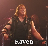 Raven photo