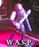 W.A.S.P. photo