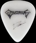 Gonoreas plectrum