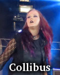 Collibus photo