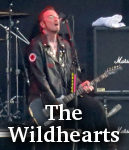 The Wildhearts photo