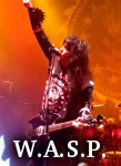 W.A.S.P. photo