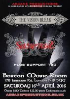 The Vision Bleak advert