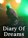 Diary Of Dreams photo