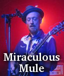 Miraculous Mule photo