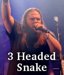 3 Headed Snake photo