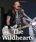 Wildhearts photo