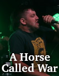A Horse Called War photo
