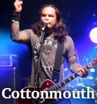 Cottonmouth photo