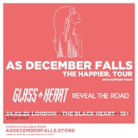 As December Falls advert