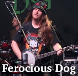 Ferocious Dog photo