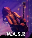 WASP photo