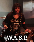WASP photo