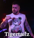 Tigertailz photo