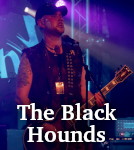 The Black Hounds photo
