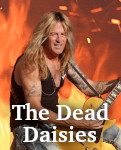 The Dead Daisies photo