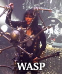WASP photo