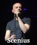 Scenius photo